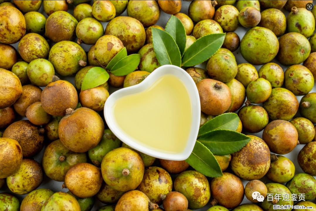 世界没有真相,只有认知,最好的食用油是中国的山茶油! - 资阳生活资讯 - 资阳28生活网 zy.28life.com