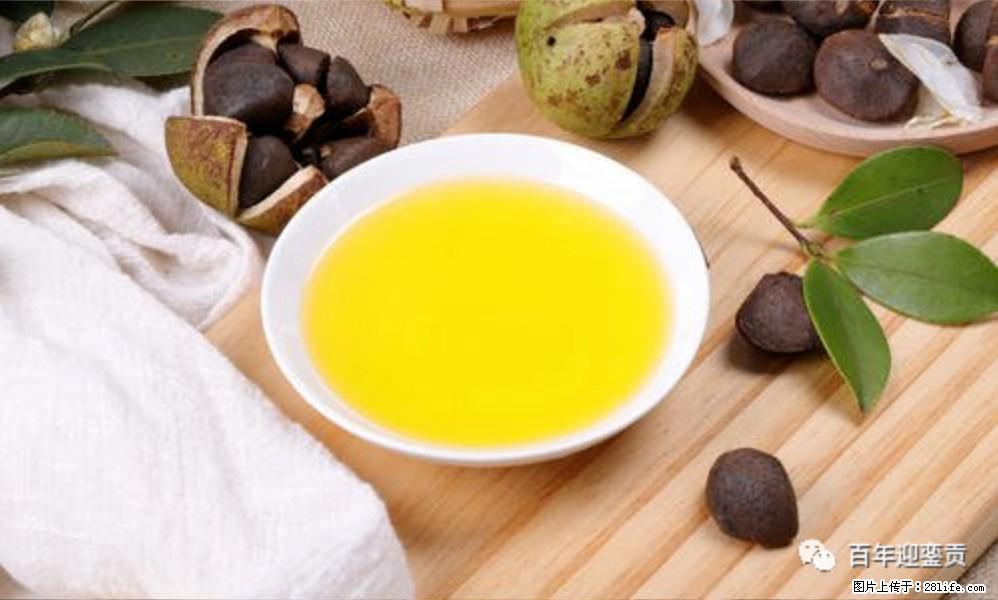 世界没有真相,只有认知,最好的食用油是中国的山茶油! - 资阳生活资讯 - 资阳28生活网 zy.28life.com