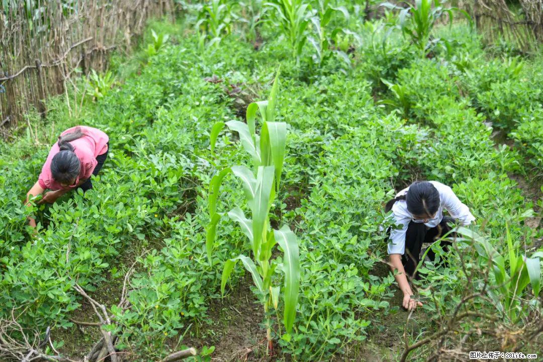 全网追的“扁担女孩”,找了一份暑假工,时薪12元 - 资阳生活资讯 - 资阳28生活网 zy.28life.com