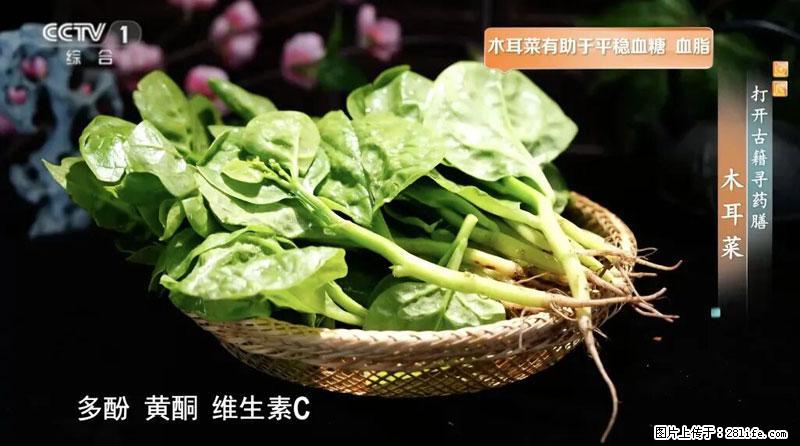 比牛奶补钙还厉害！凉血解毒、稳血糖...这菜冬天必吃，很多人却当草 - 资阳生活资讯 - 资阳28生活网 zy.28life.com