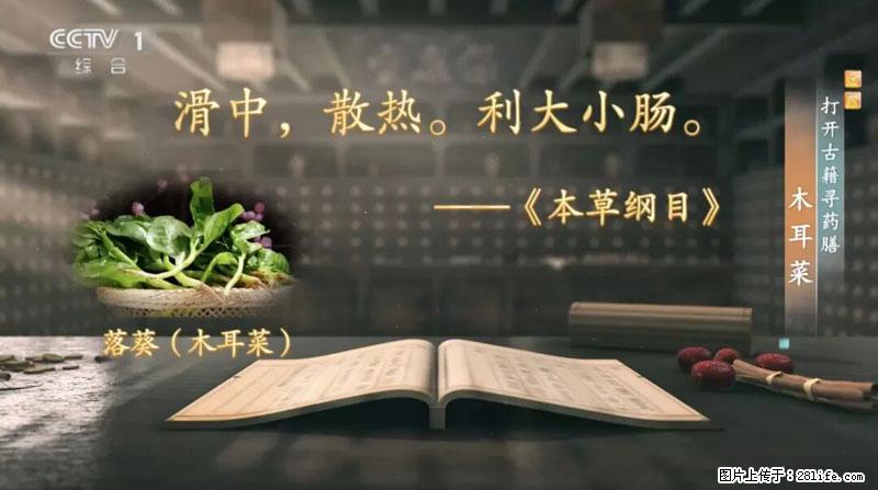 比牛奶补钙还厉害！凉血解毒、稳血糖...这菜冬天必吃，很多人却当草 - 资阳生活资讯 - 资阳28生活网 zy.28life.com