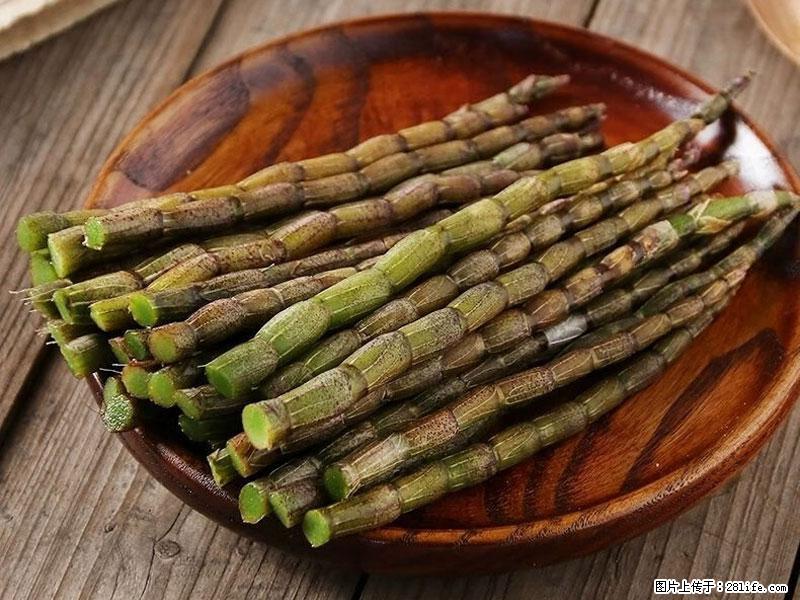 铁皮石斛的作用与功能主治 - 资阳生活资讯 - 资阳28生活网 zy.28life.com